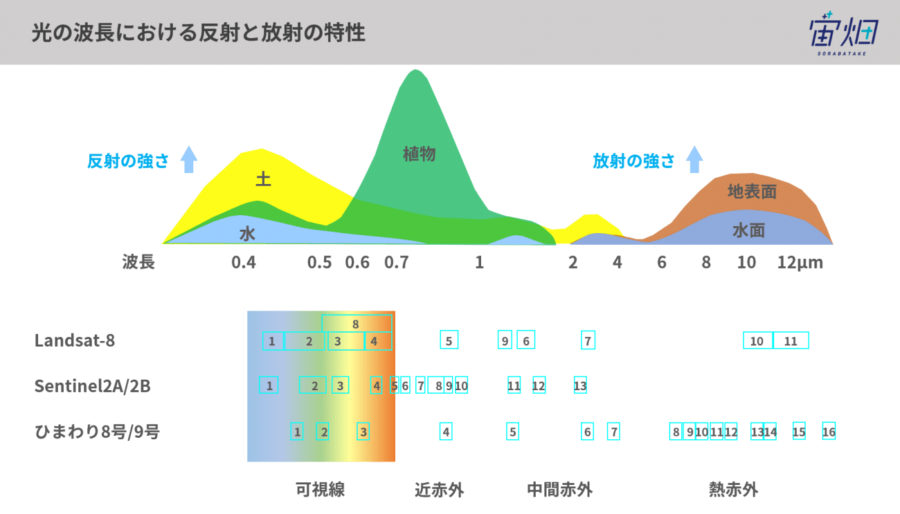 実践編 Tellusの衛星データをブレンドして見えるモノ コト 宙畑