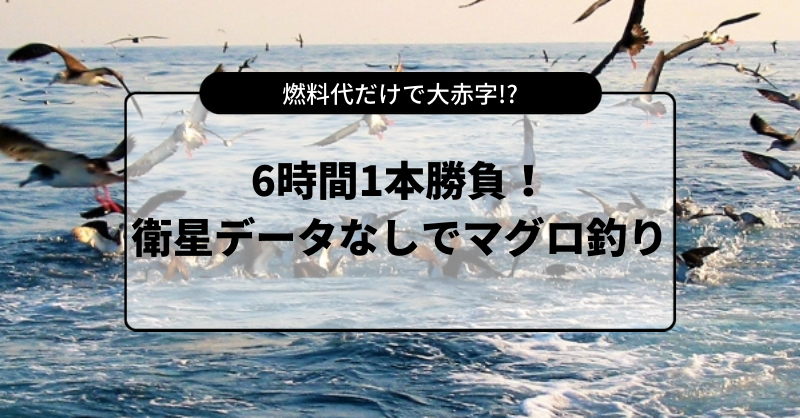 燃料代にびっくり 6時間のマグロ釣り 衛星データなしで海を駆け回った結果 宙畑