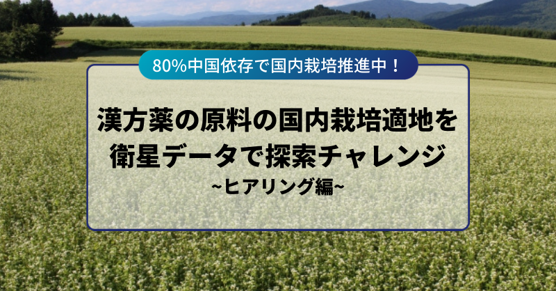 即納 最大半額 大阪京菓 Zrx三幸製菓 ３０枚 新潟仕込み塩味 48個 税 Xr 送料無料 沖縄は別途送料 大阪京菓店 アウトレット送料無料 Bralirwa Co Rw