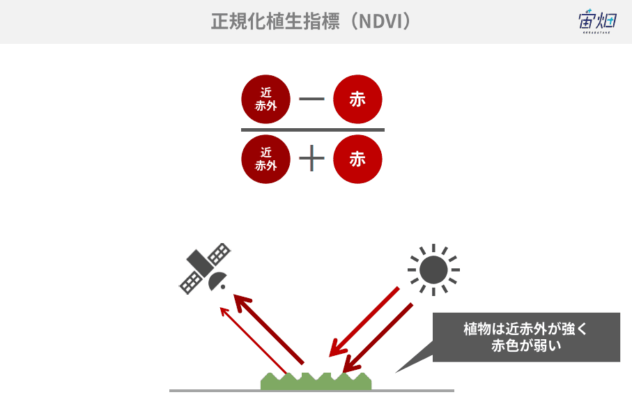 解析実例とともに学ぶNDVI（正規化植生指標）の基本と扱う上での注意点